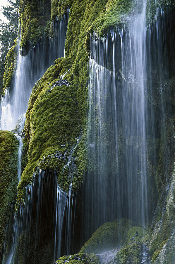 Waterfall and Moss Bavaria Photograph by Konrad Wothe