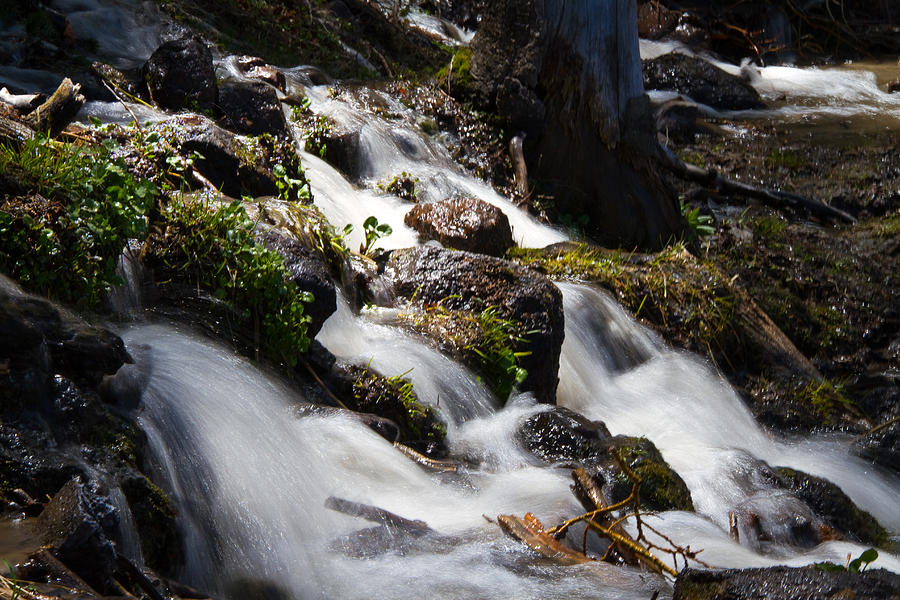 Waterfall Photograph - Waterfall by Dennis Wilson
