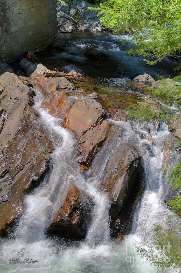 Waterfall Fork Photograph by Sue Karski