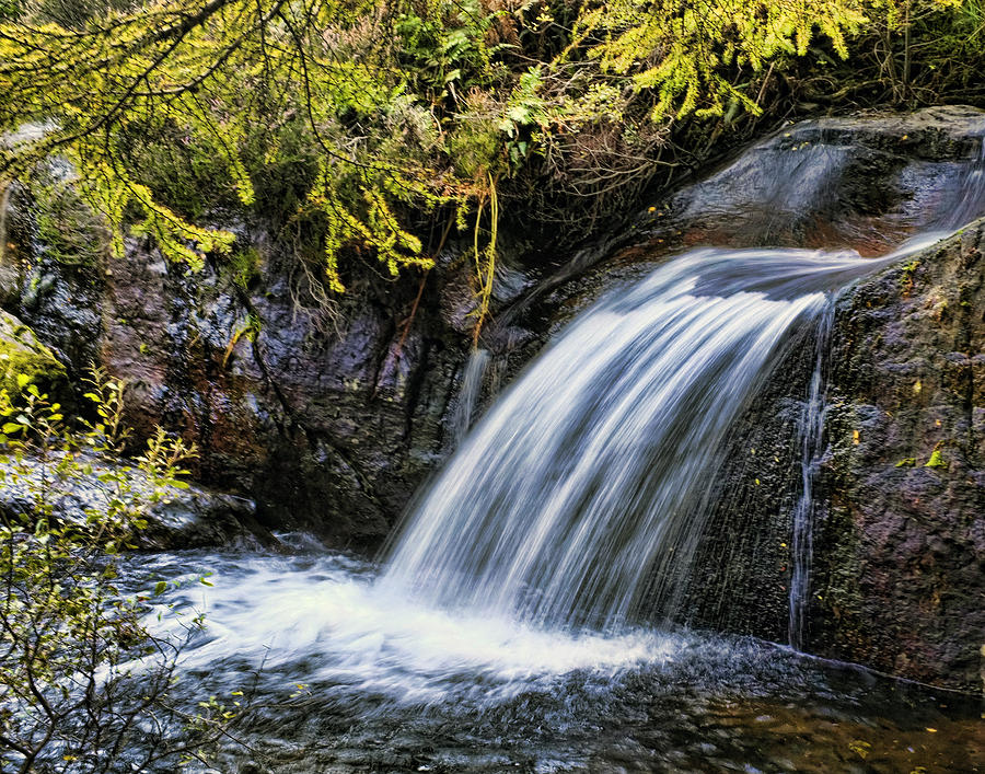 Waterfall Photograph by Hugh Smith