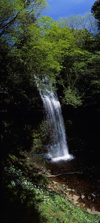 Nature Photograph - Waterfall In A Forest, Glencar by The Irish Image Collection 