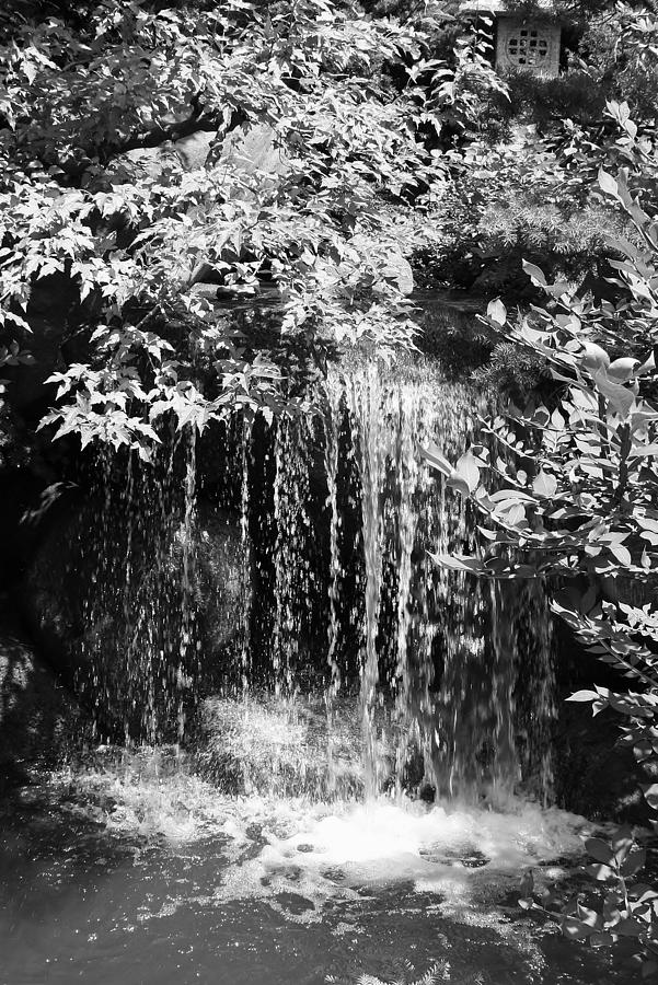 Waterfall in Black and White Photograph by Bruce Bley