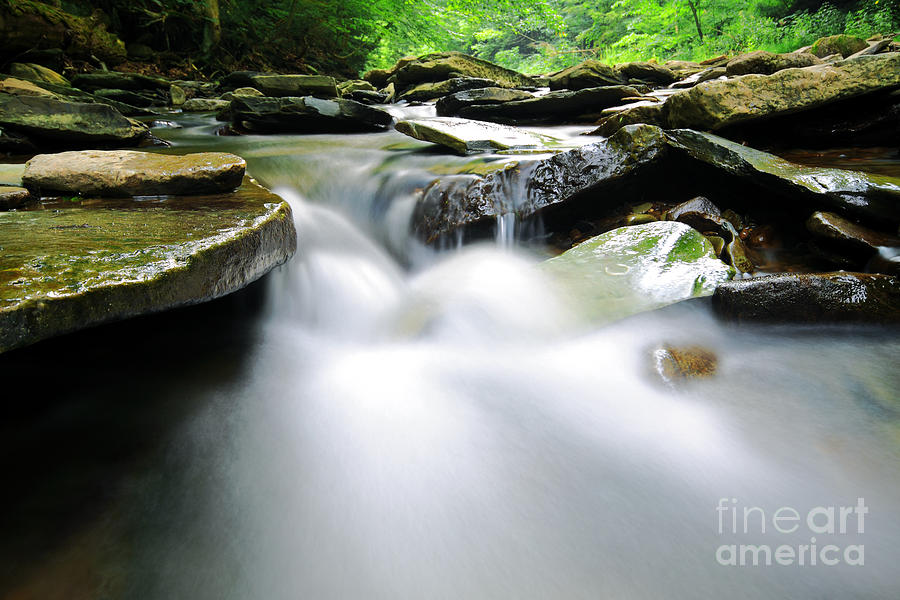 Waterfall in Forest Photograph by Charline Xia