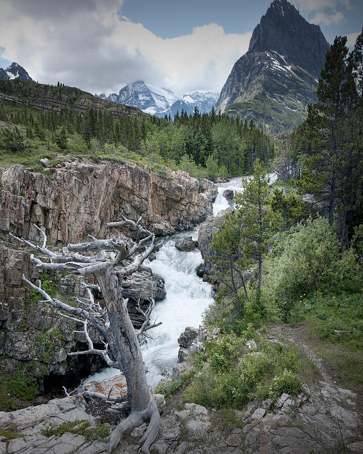 Waterfall In Glacier National Park Photograph