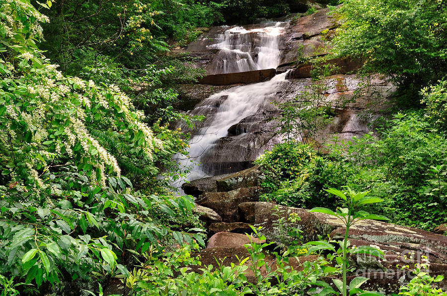 Waterfall in Mountain Green Photograph by Wayne Nielsen