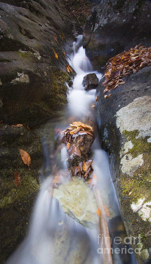 Waterfall in Shenandoah National Park Photograph by Dustin K Ryan