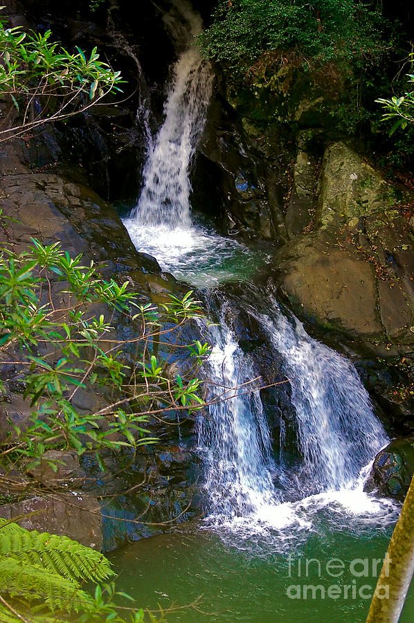 Waterfall in the Currumbin Valley Photograph by Blair Stuart