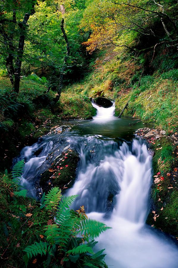 Tree Photograph - Waterfall In The Woods, Ireland by The Irish Image Collection 