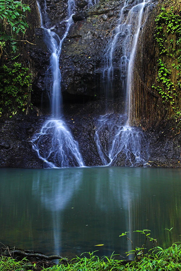 Waterfall- Micoud- St Lucia Photograph by Chester Williams