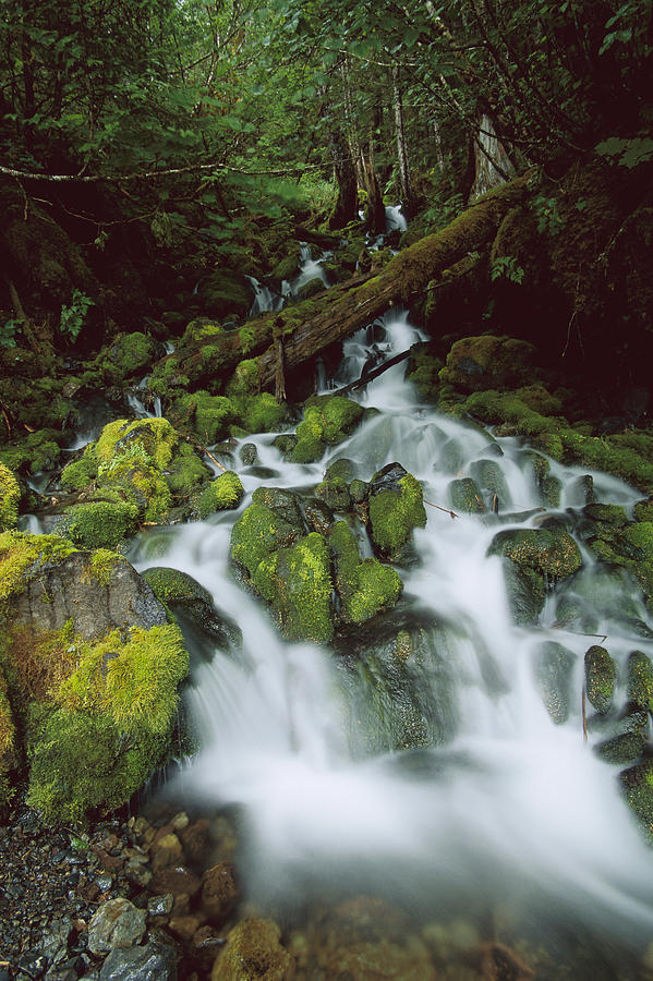 Waterfall Off Of Power Creek Cordova Photograph by Suzi Eszterhas