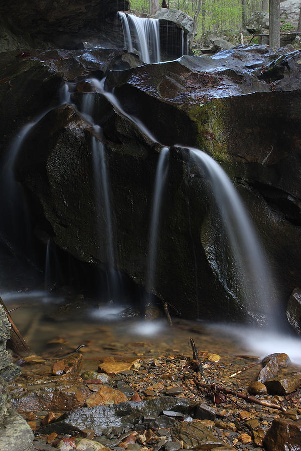 Waterfall On Emory Gap Branch Photograph by Daniel Reed