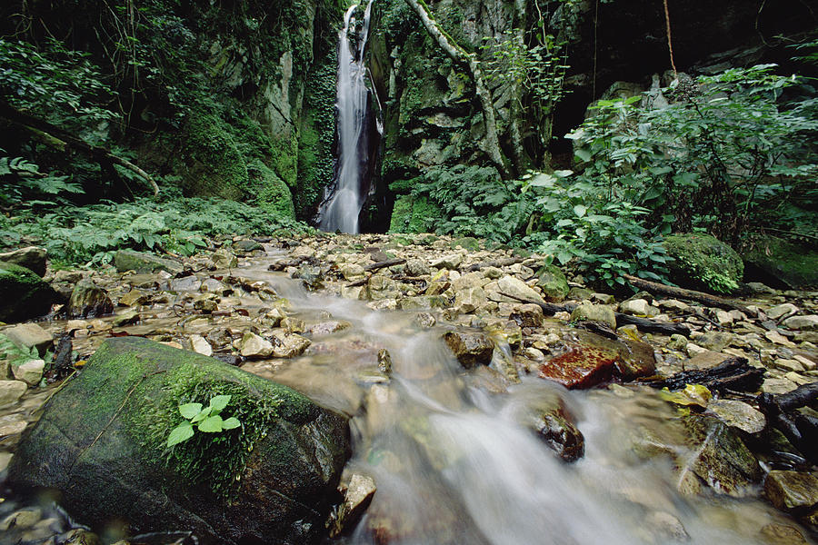 Waterfall On Gombe Stream In Low Photograph by Gerry Ellis