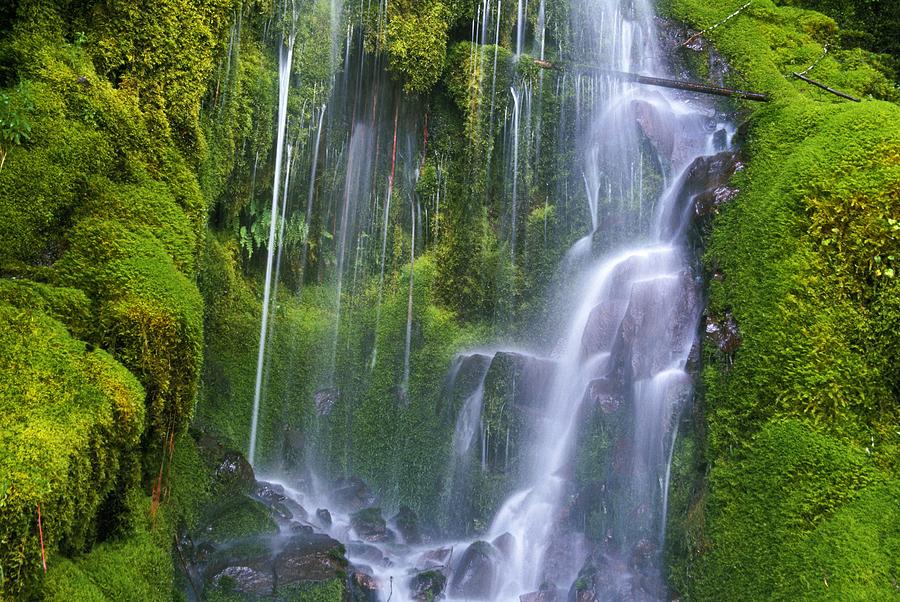Waterfall Over Moss Covered Rocks Photograph By Natural Selection Craig