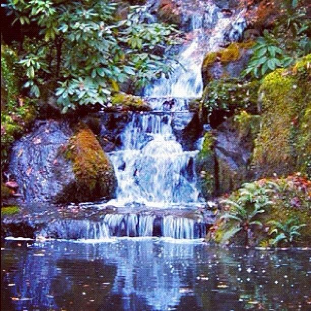 Waterfall Photograph - Waterfall - Portland Japanese Garden Portland OR by Anna Porter
