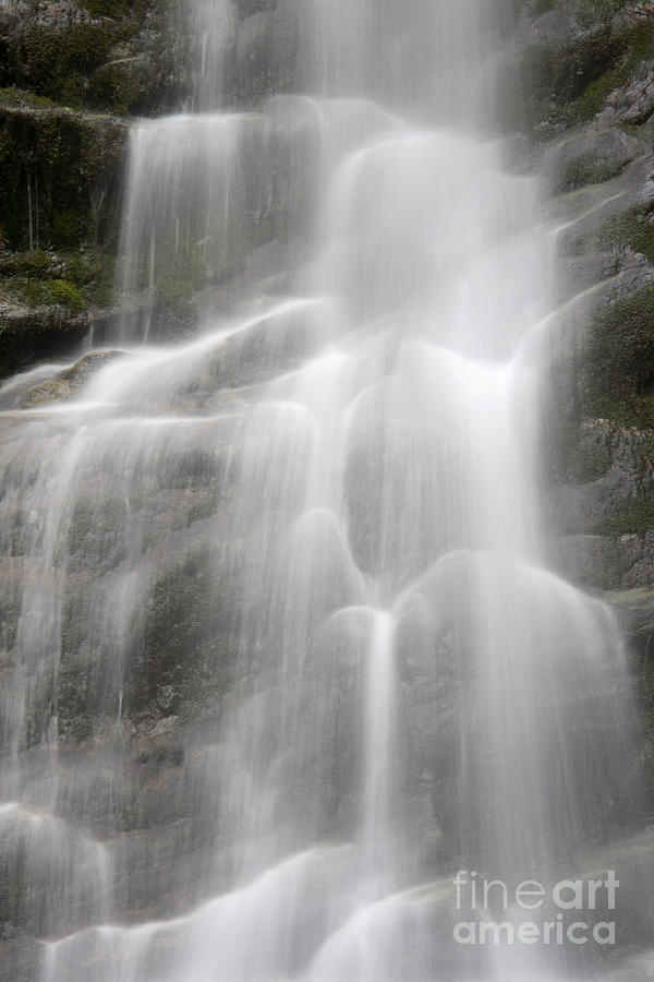 Waterfall, Quebec Photograph by Ted Kinsman