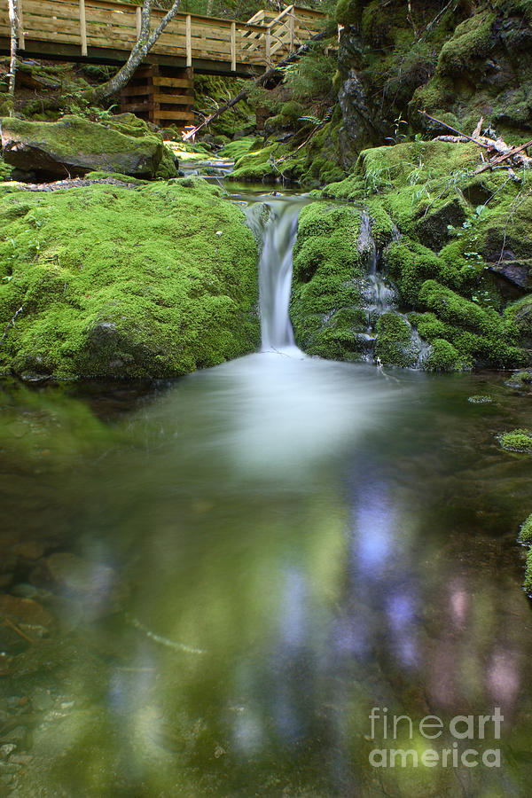 Waterfall Photograph by Ted Kinsman