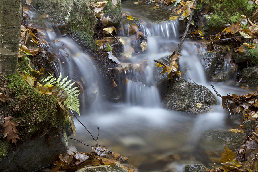 Waterfall Photograph by Tom Bushey - Fine Art America