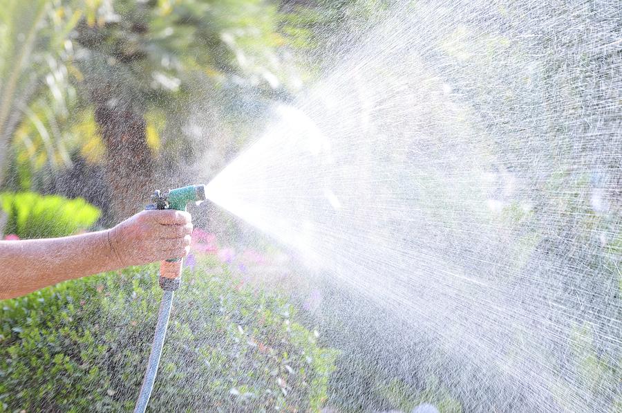 Watering A Garden Photograph by Photostock-israel - Fine Art America