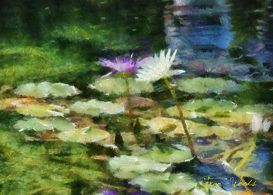 Waterlilies 2 Digital Art by Fran Woods
