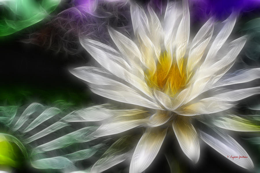 Waterlily in Pseudo-Fractal Digital Art by Lynne Jenkins
