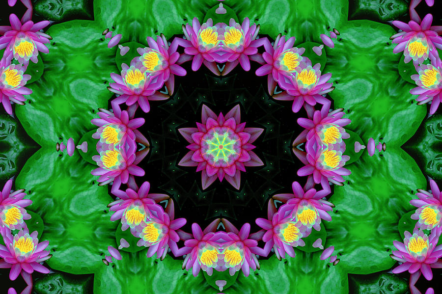 Waterlily Kaleidoscope Digital Art by Lynne Jenkins