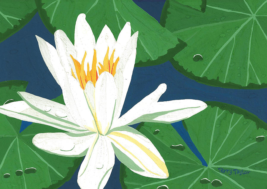 Waterlily Painting by Terry Taylor