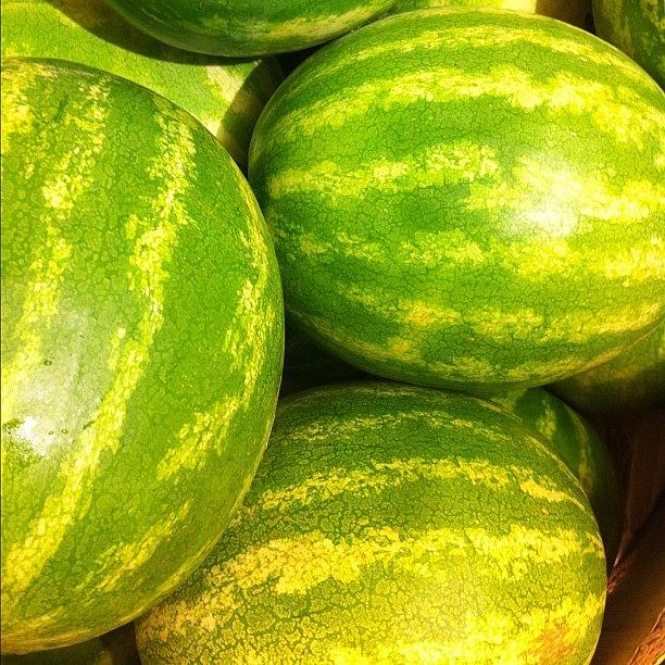 Watermelon Photograph by Jim Spencer