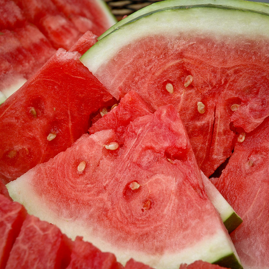 Watermelon Madness Photograph by Frank Mari