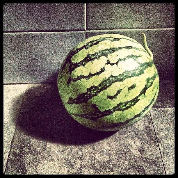 Watermelon!!! Photograph by Raul Garcia Gonzalez