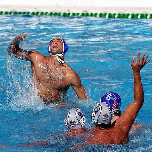 Sports Photograph - Waterpolo #jjforum #webstagram by Zsolt Bugarszki