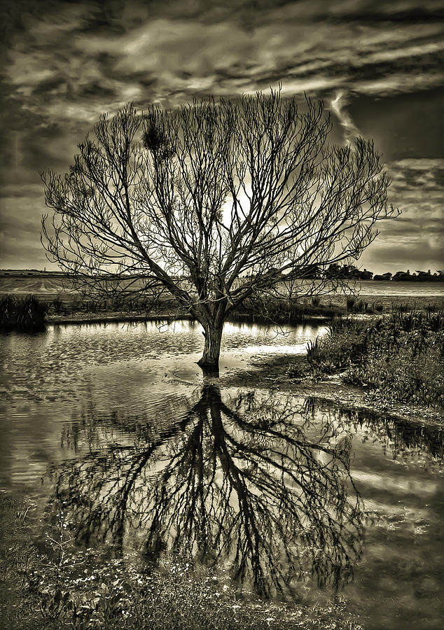 Black And White Photograph - Waterworld by Nigel Jones