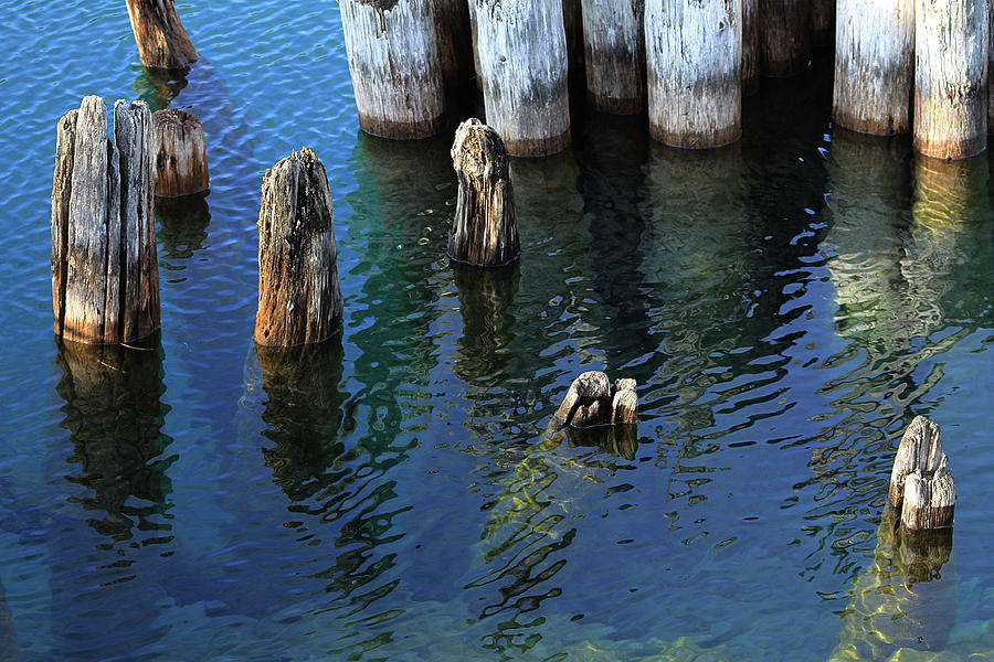 Waterworld Photograph by Scott Hovind
