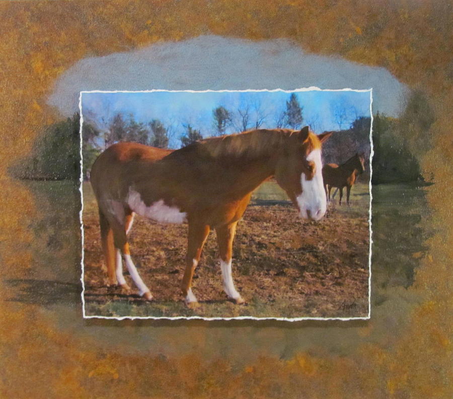 Wautoma Horse Mixed Media by Anita Burgermeister