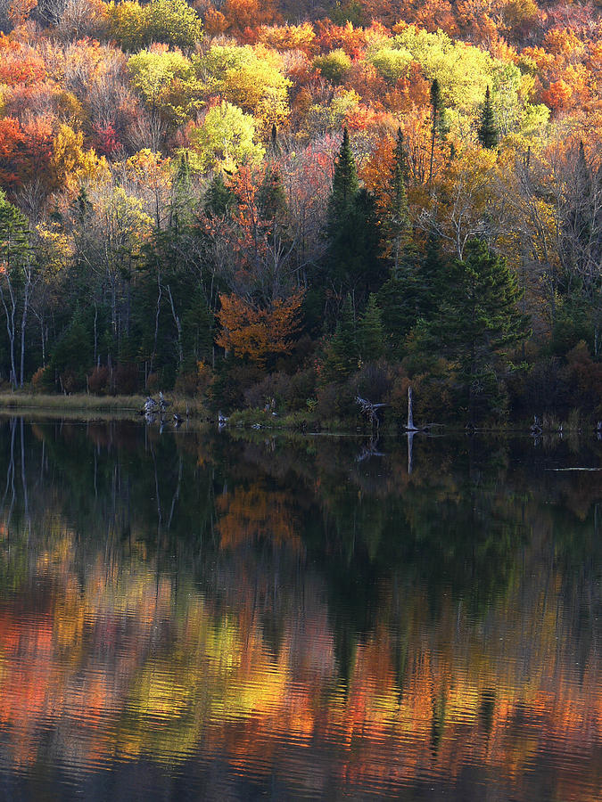 Waves of Change Photograph by Natalie LaRocque | Fine Art America