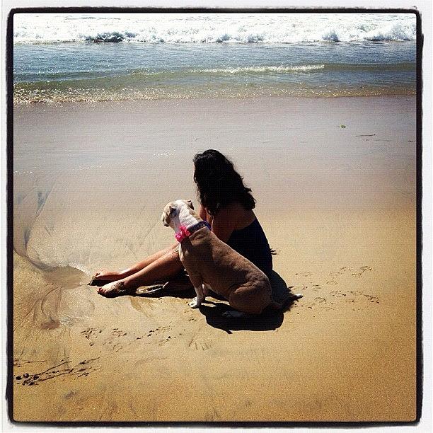 Pitbull Photograph - #waves #serene #calm #beach #bestfriend by Lala Baby