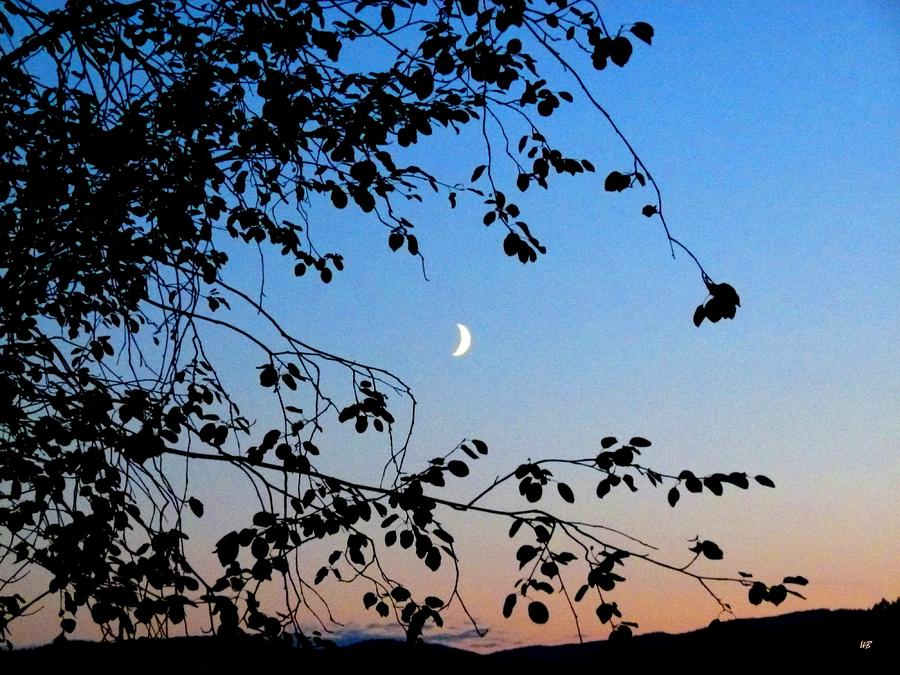 Waxing Crescent Moon Photograph by Will Borden