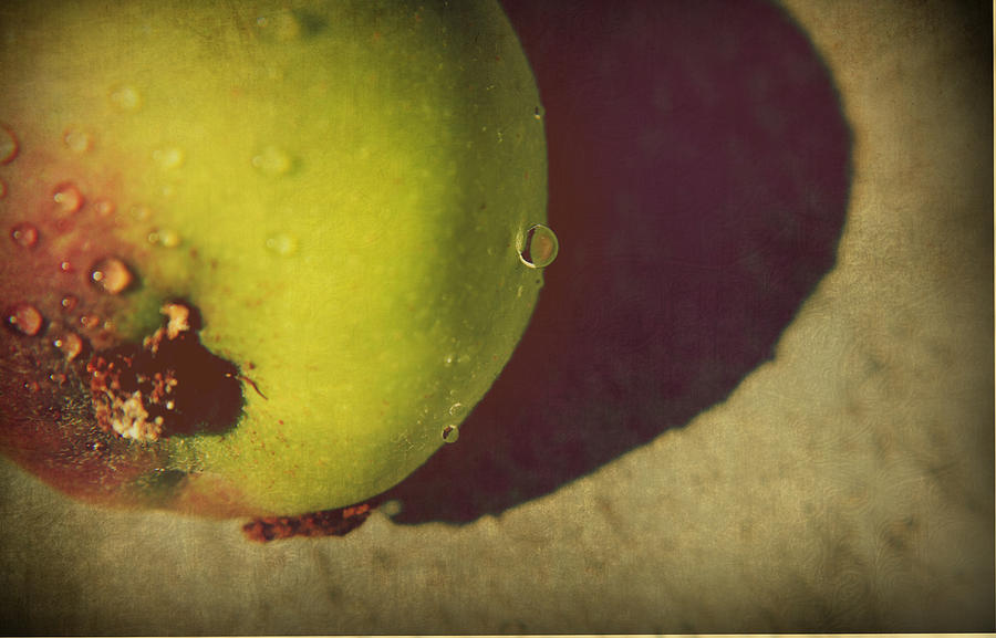 Apple Photograph - We All Fall Down by Laurie Search