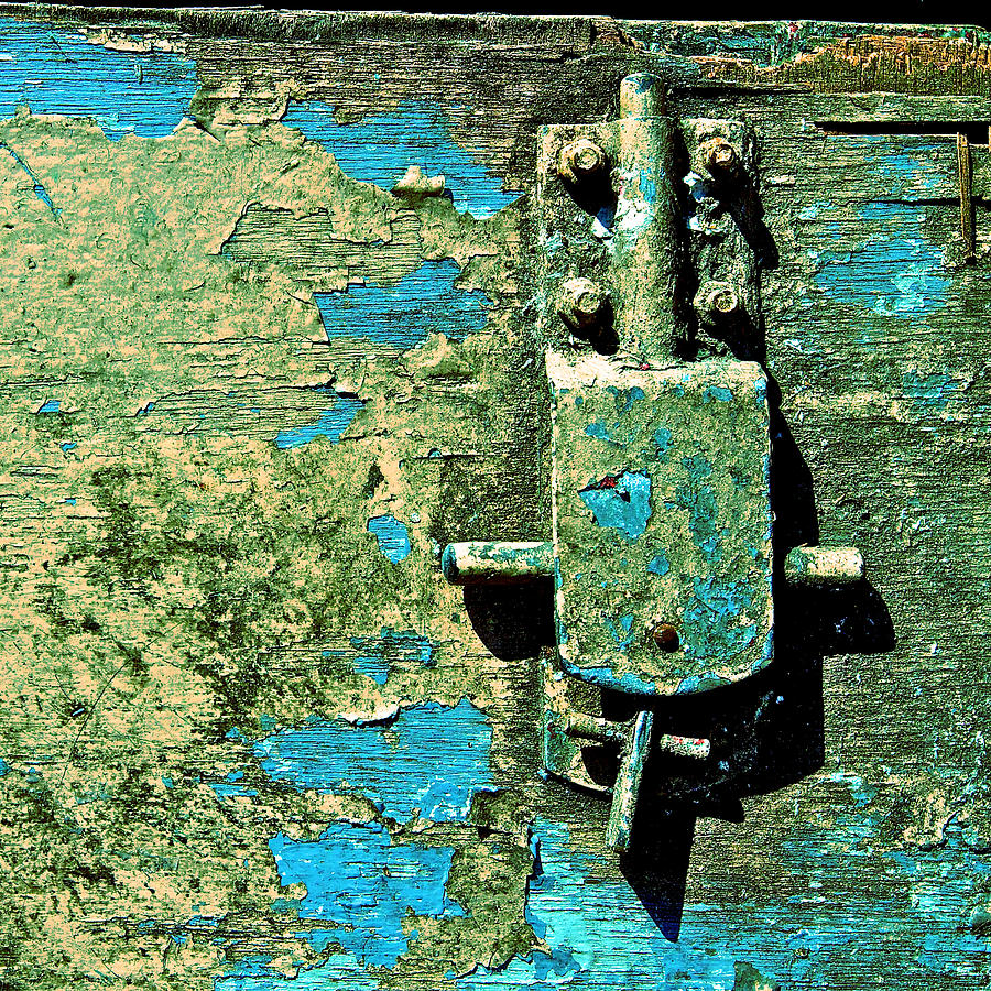 Weather Beaten Photograph by Ferry Ten Brink