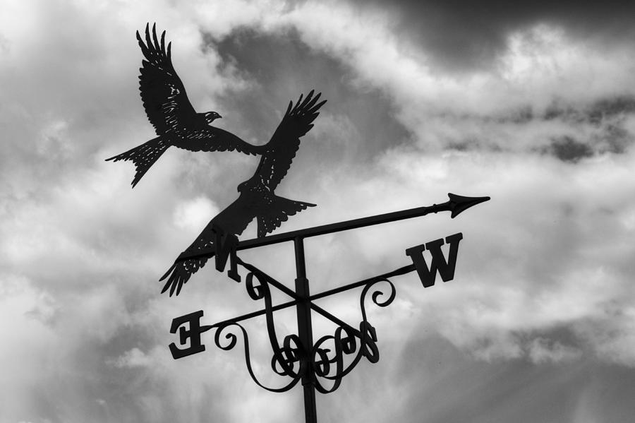 Weather Vane Photograph by Chris Day