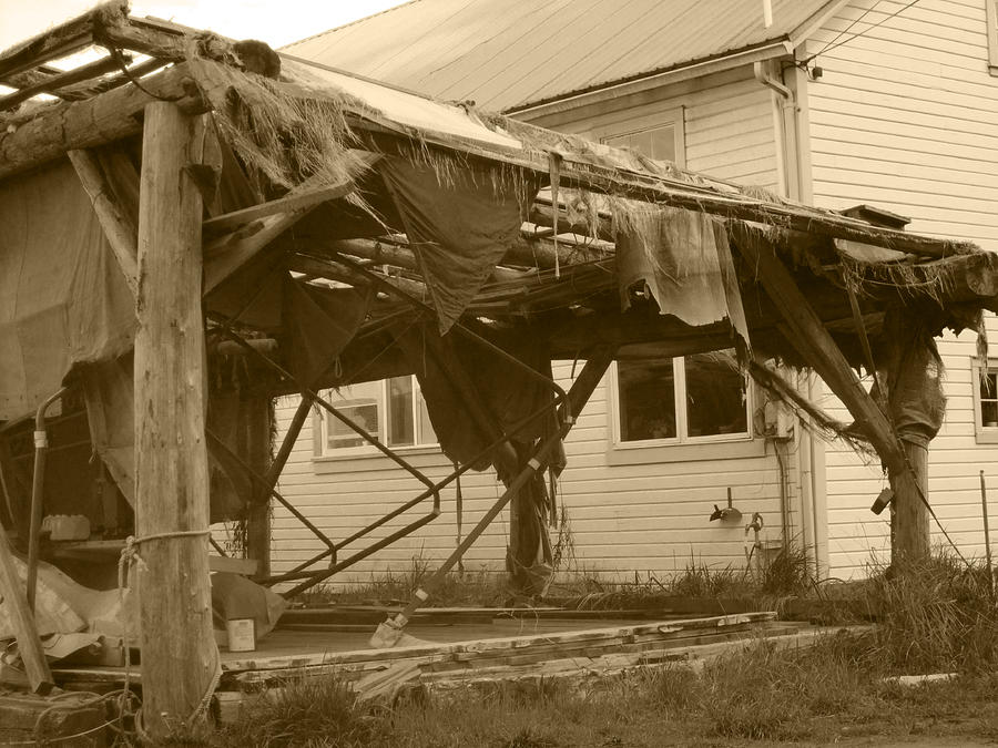 Weathered And Blown To Pieces Photograph by Kym Backland