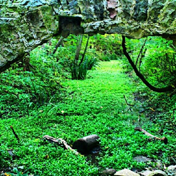 Nature Photograph - Weathered Archway by Mr. B