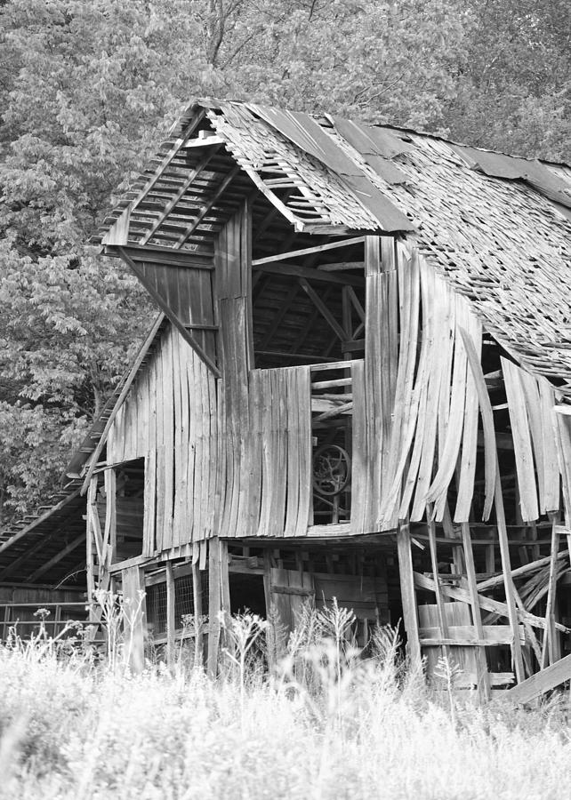 Weathered Barn - Black and White Photograph by Harold Rau