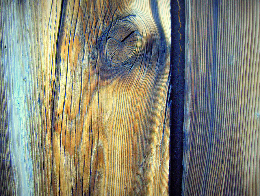 Wood Photograph - Weathered by Donna Spadola