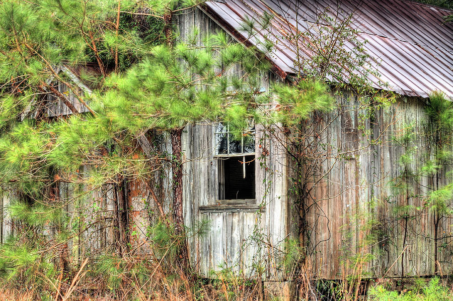 Weathered Photograph by JC Findley