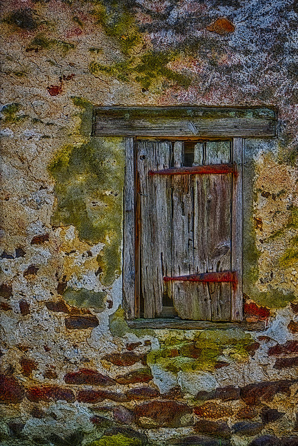 Weathered Vibrancy Photograph by Susan Candelario