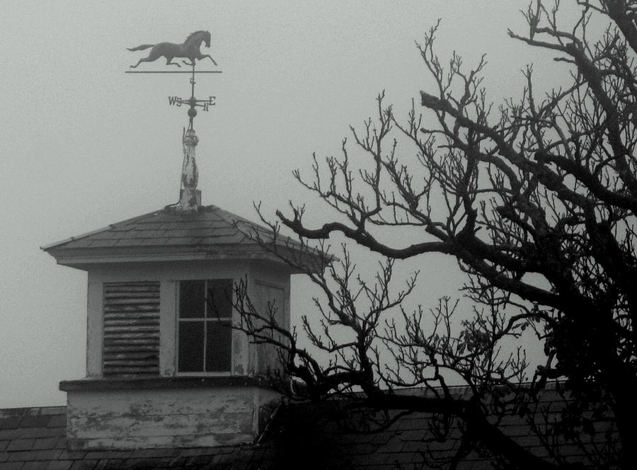 Weathervane on the barn Photograph by Lois Lepisto