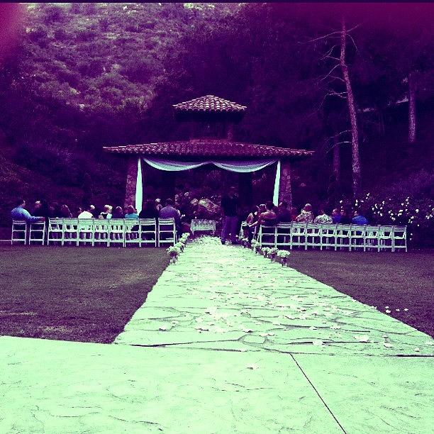Flower Photograph - Wedding Action #picfx #gazebo #flowers by Justin Wright