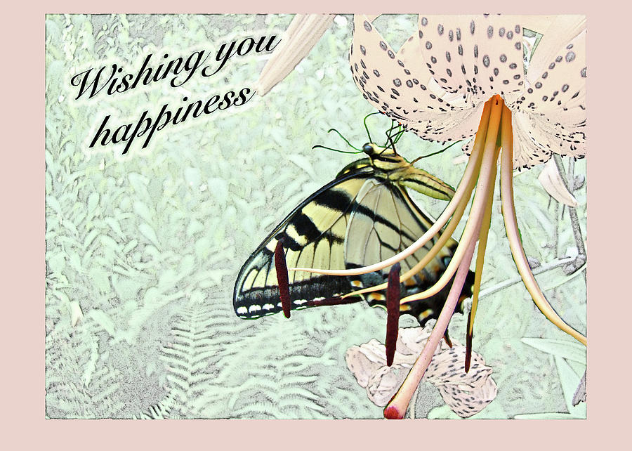 Wedding Happiness Wishes - Butterfly on Lily Photograph by Carol Senske