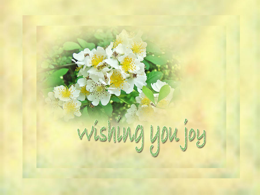 Rose Photograph - Wedding Wishing You Joy Greeting Card - Wildflower Multiflora Roses by Carol Senske