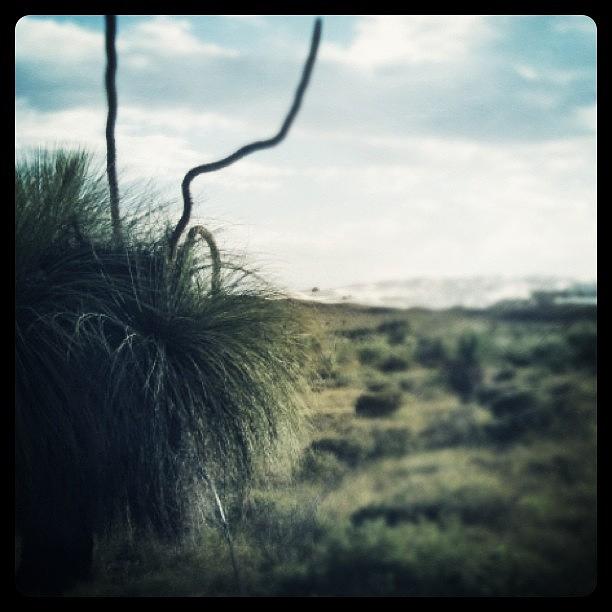 Perth Photograph - #wedgeisland Dunes #perth by Kirk Roberts